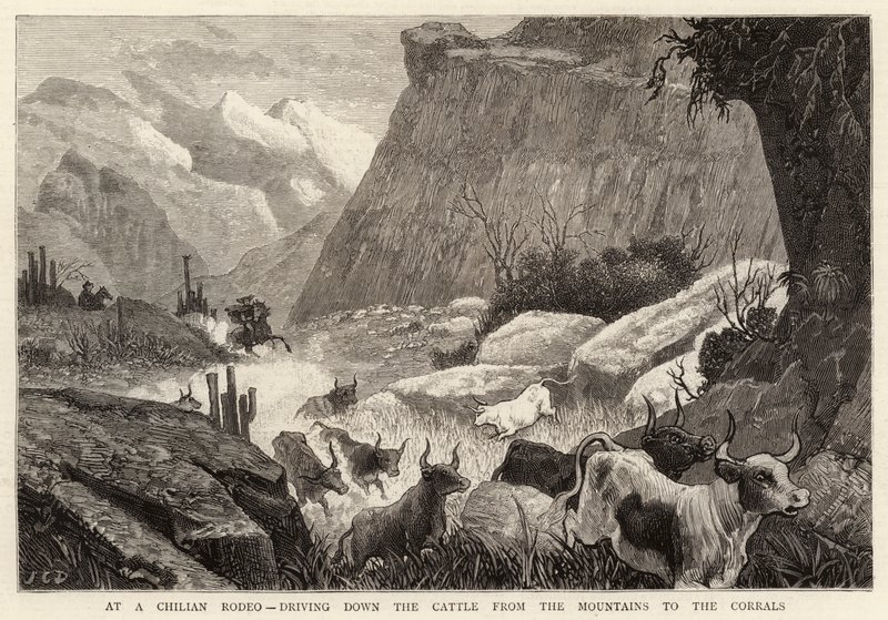 A un rodeo cileno, guidando il bestiame dalle montagne ai recinti da John Charles Dollman