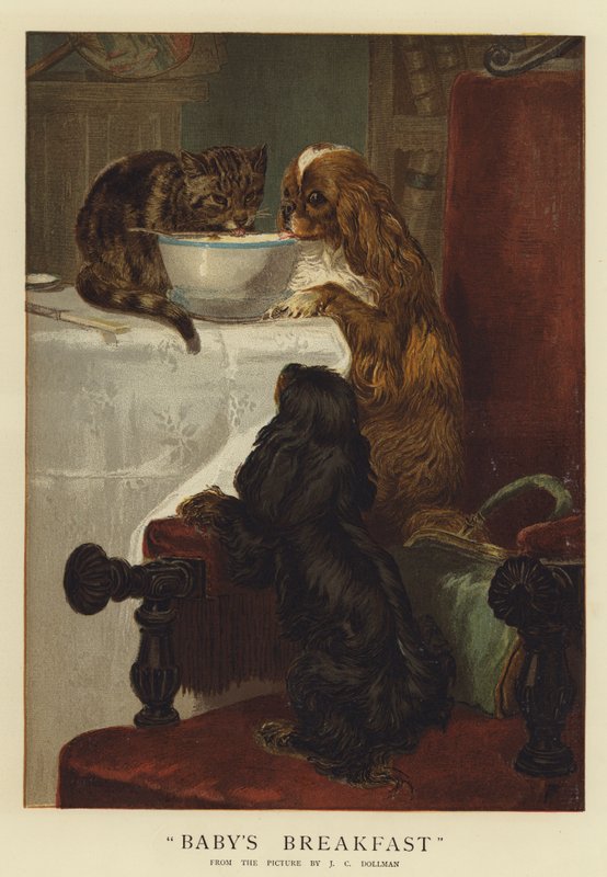 La colazione del bambino da John Charles Dollman