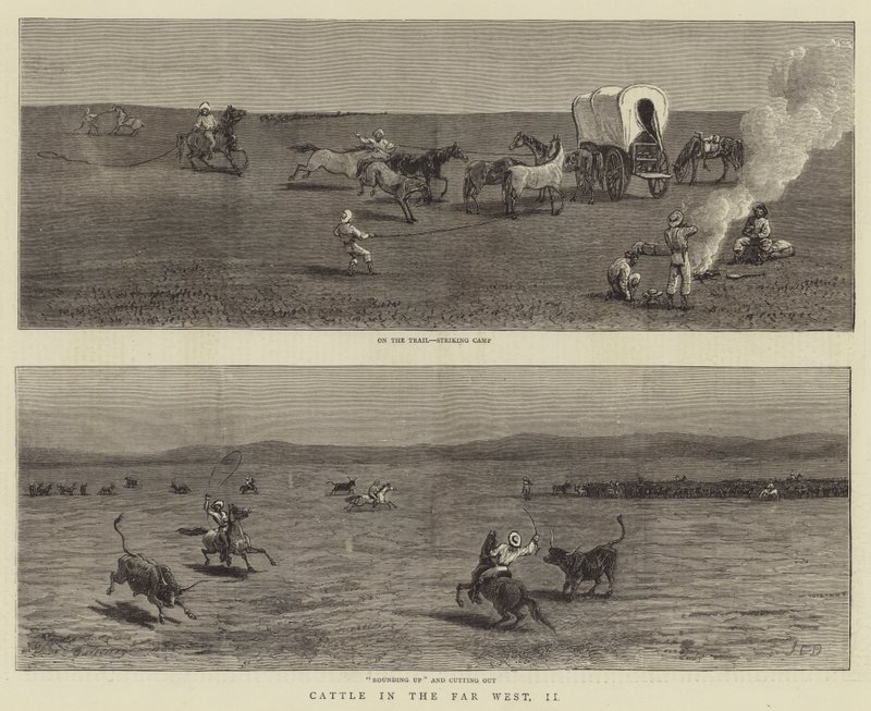 Bestiame nel Far West, II da John Charles Dollman