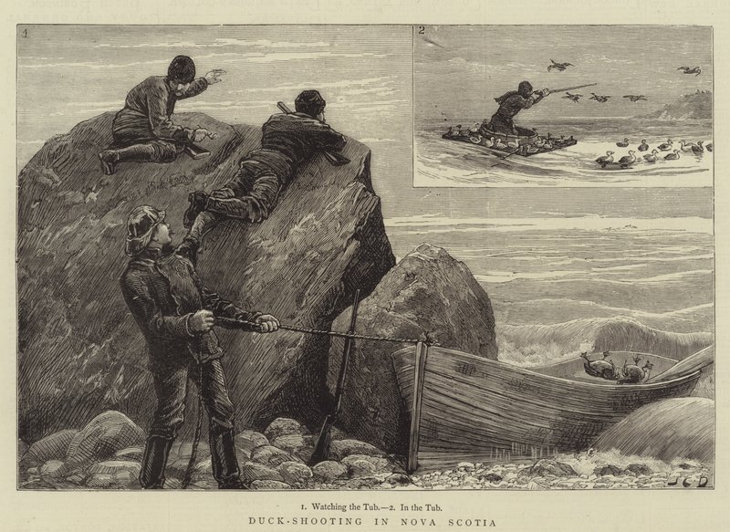 Caccia alle anatre in Nuova Scozia da John Charles Dollman