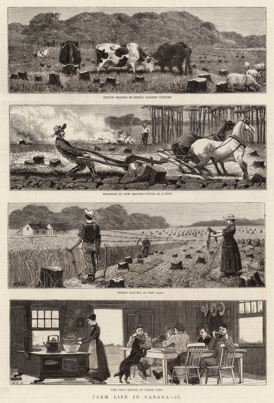 Vita Agricola in Canada, II da John Charles Dollman