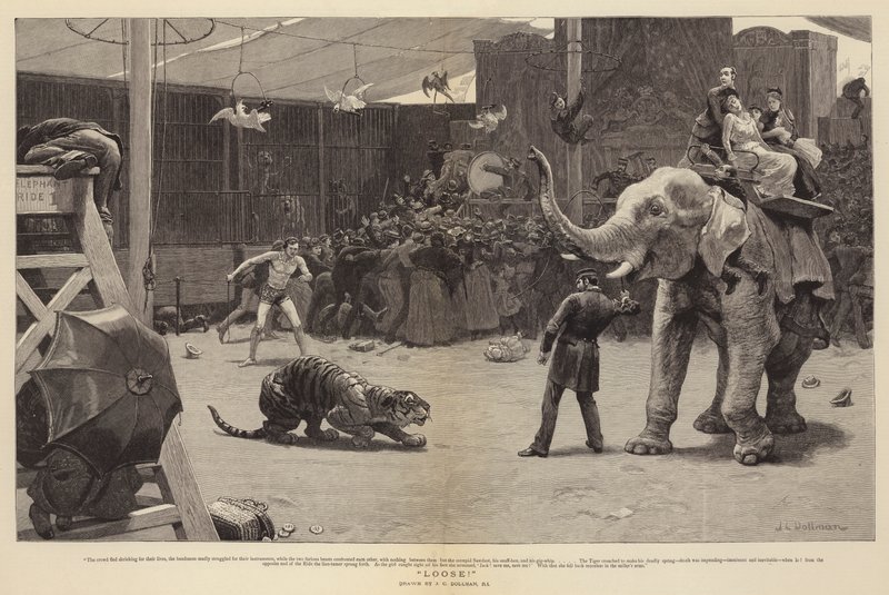 Sciolto! da John Charles Dollman