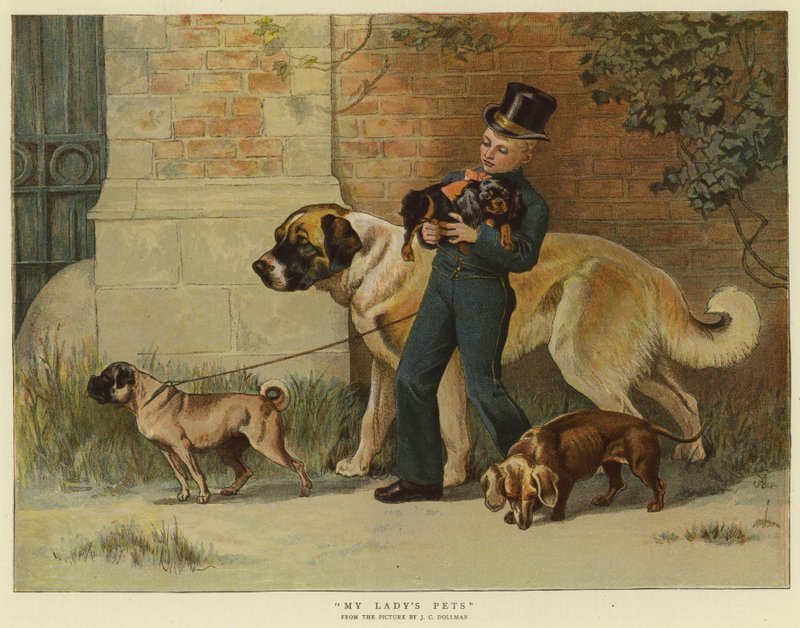 Gli animali domestici della mia signora da John Charles Dollman