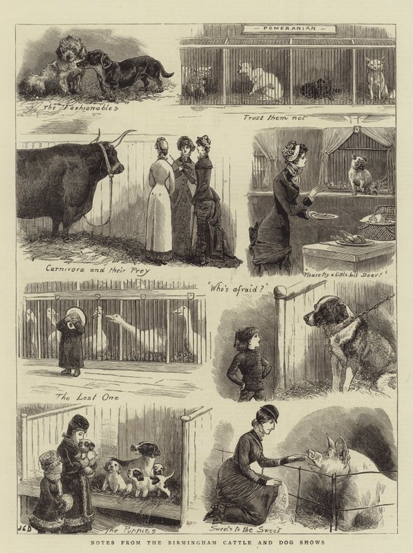 Note dalle mostre di bestiame e cani di Birmingham da John Charles Dollman