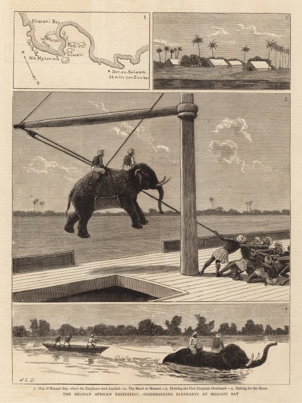 La spedizione africana belga, sbarco degli elefanti a Msasani Bay da John Charles Dollman