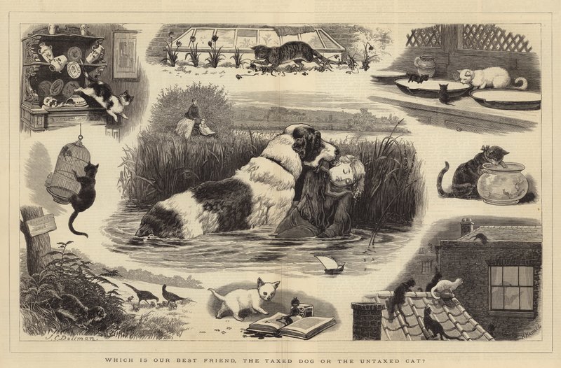 Qual è il nostro miglior amico, il cane tassato o il gatto non tassato da John Charles Dollman