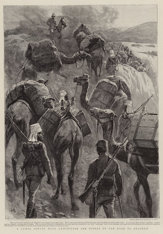 Un convoglio di cammelli con munizioni e provviste sulla strada per Akasheh da John Charlton