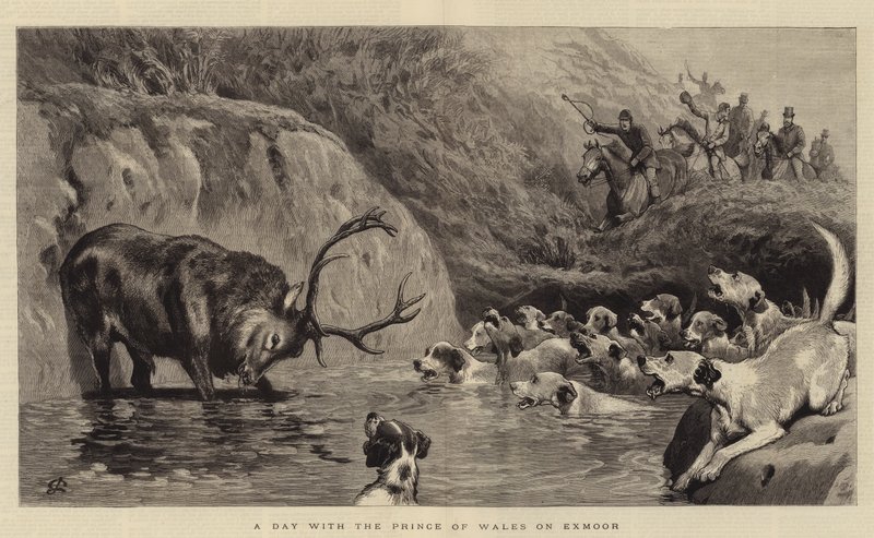 Una giornata con il Principe di Galles a Exmoor da John Charlton