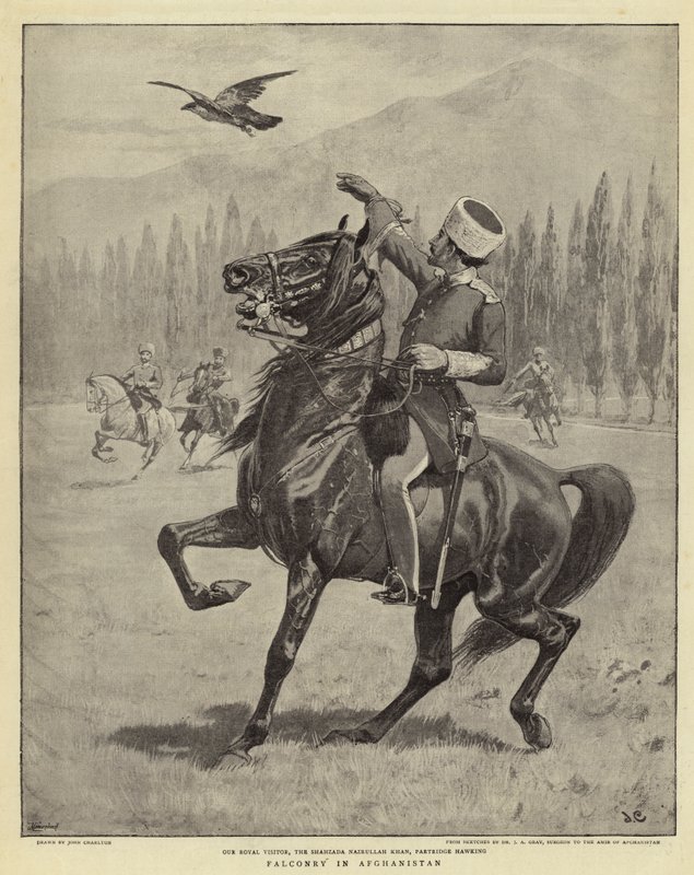 Falconeria in Afghanistan da John Charlton