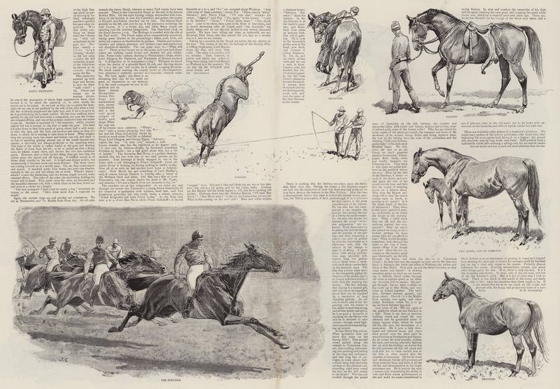 La carriera di un cavallo da corsa da John Charlton