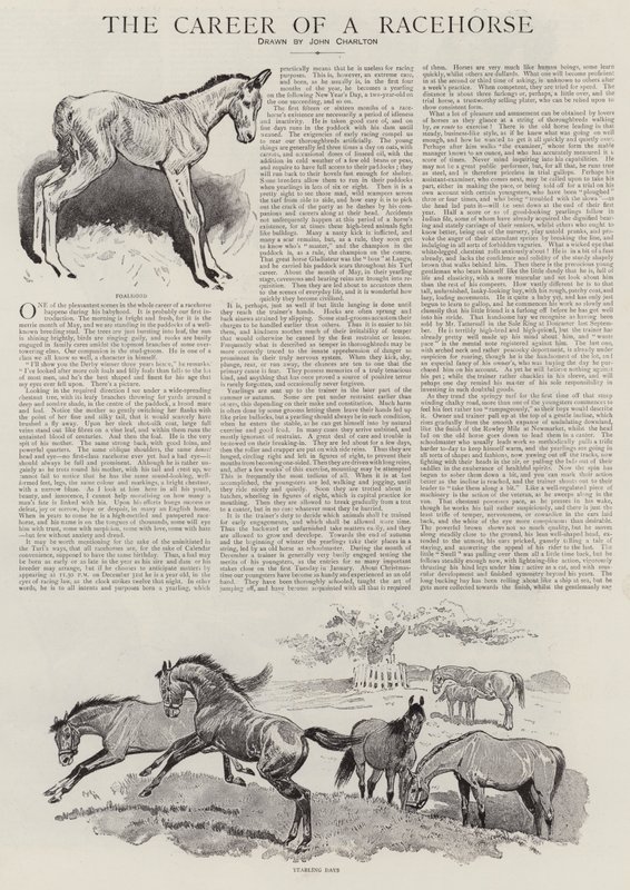 La carriera di un cavallo da corsa da John Charlton