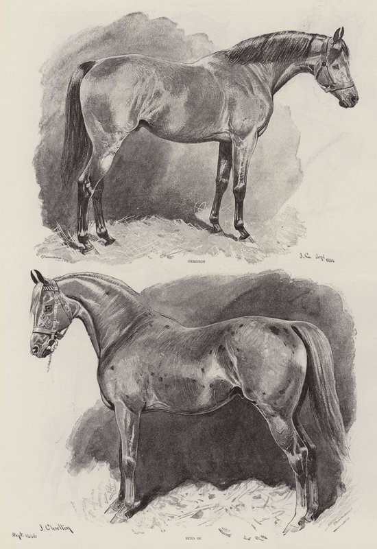 La carriera di un cavallo da corsa da John Charlton