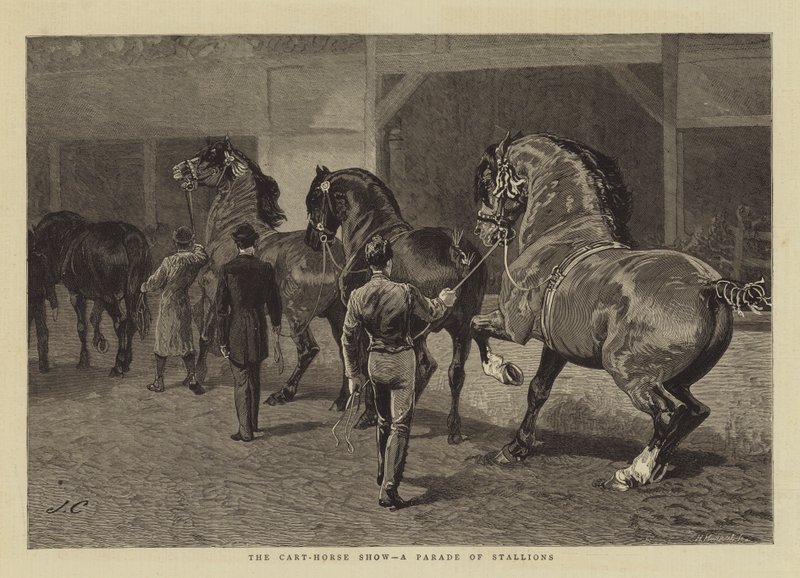La mostra del cavallo da tiro, una parata di stalloni da John Charlton