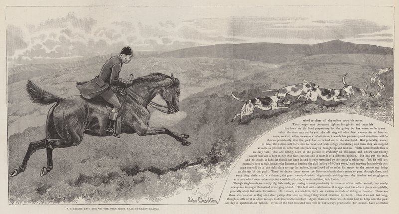 La caccia al cervo rosso selvatico su Exmoor da John Charlton