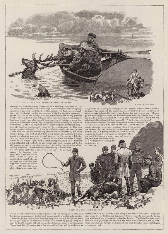 La caccia al cervo rosso selvatico su Exmoor da John Charlton
