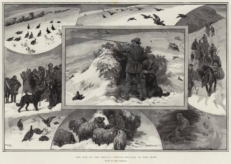 La fine della stagione, caccia alla pernice nella neve da John Charlton