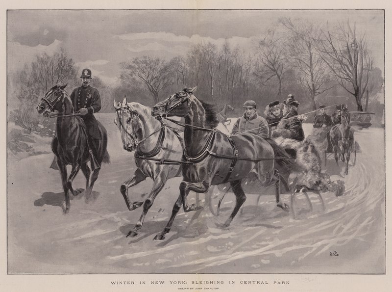 Inverno a New York, Slittino a Central Park da John Charlton