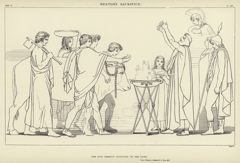 Il sacrificio di Nestore da John Flaxman