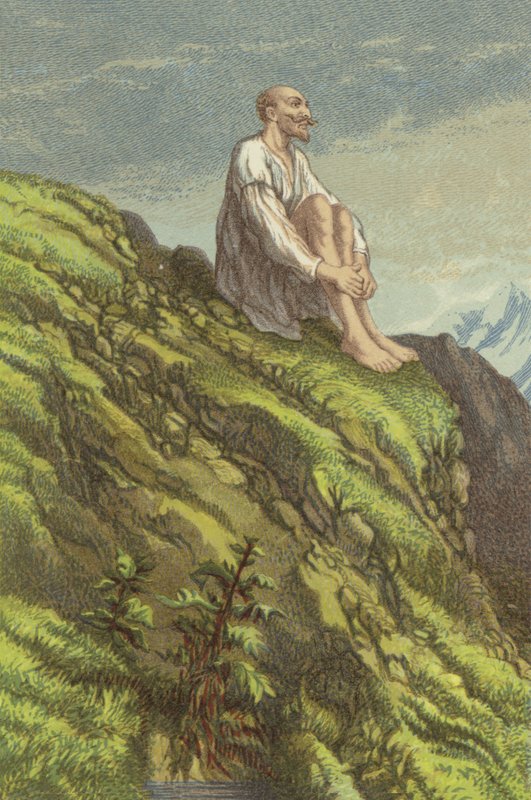 Don Chisciotte sulla Sierra Morena in penitenza (cromolitografia) da John Gilbert
