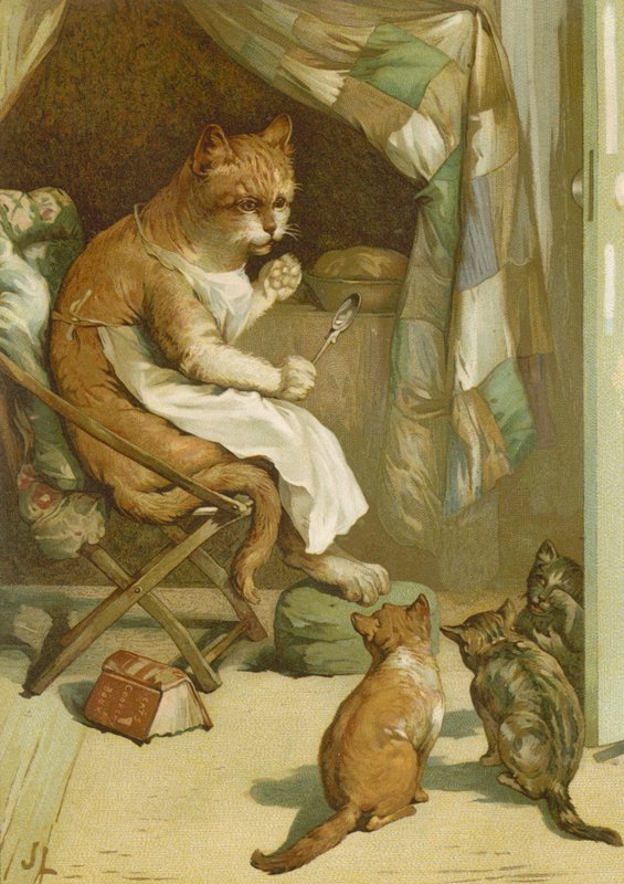 I tre gattini da John Lawson