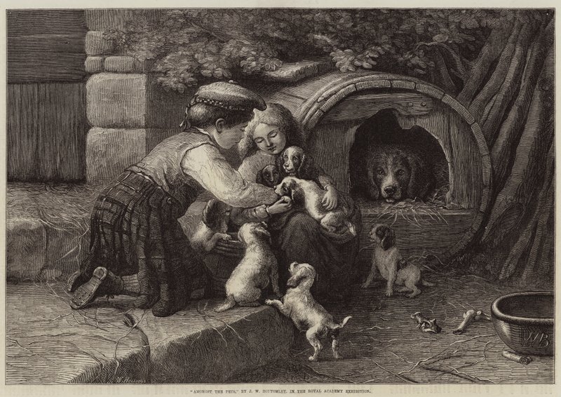 Tra gli animali domestici da John William Bottomley
