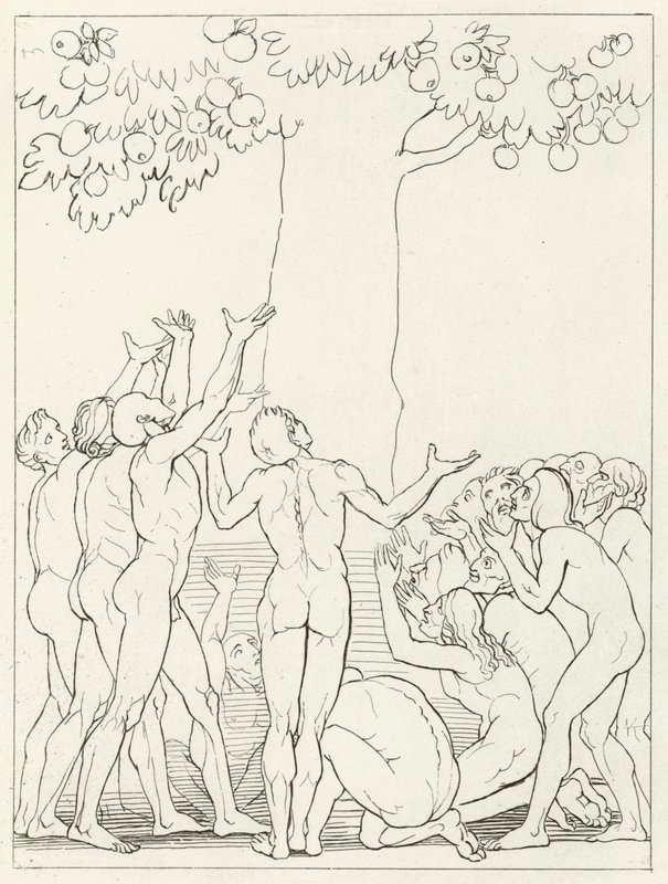Gli intemperanti, Purgatorio, Canto 24 (incisione) da John (after) Flaxman