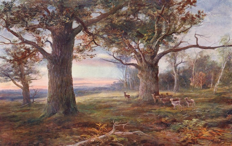 Ai margini della foresta di Sherwood da John (after) MacWhirter