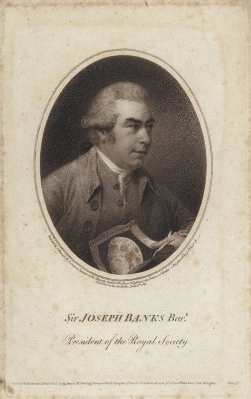 Sir Joseph Banks, naturalista, botanico e presidente della Royal Society inglese da John (after) Russell