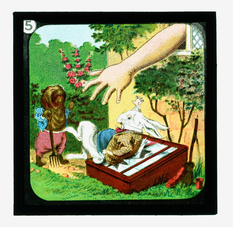Alice nel Paese delle Meraviglie, Diapositive colorate da John (after) Tenniel