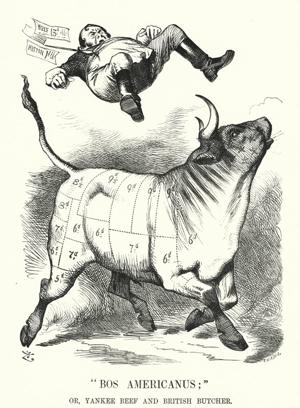 Cartone animato Punch: Bos Americanus; o, Manzo Yankee e Macellaio Britannico - benefici attesi per i consumatori dall
