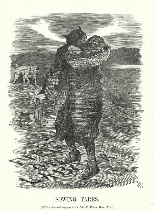 Vignetta di Punch: Seminare zizzania - la paura della diffusione del socialismo tra i lavoratori britannici (incisione) da John (after) Tenniel