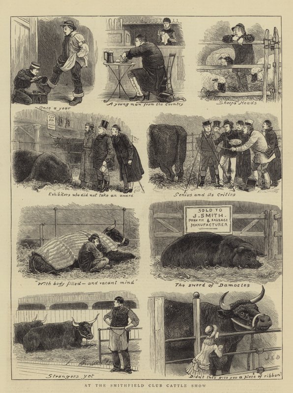 Alla mostra del bestiame del Smithfield Club da John Charles Dollman