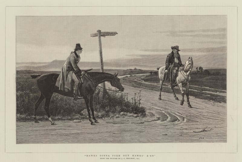 I falchi non beccano gli occhi dei falchi da John Charles Dollman