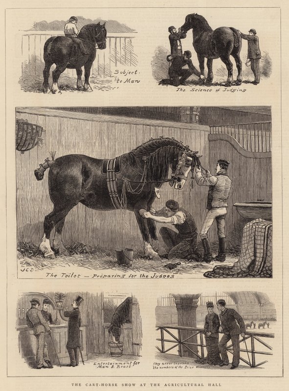 La mostra del cavallo da tiro alla Agricultural Hall da John Charles Dollman