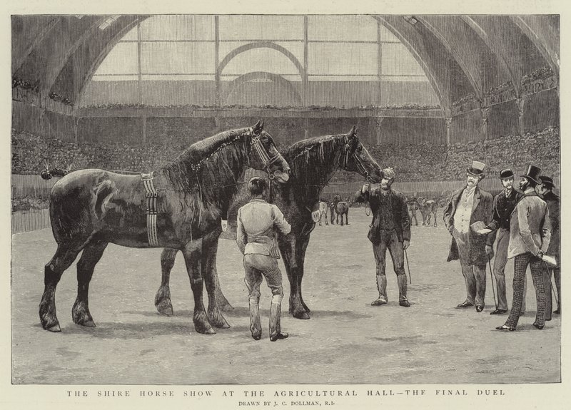 Mostra del cavallo da tiro alla Agricultural Hall, il duello finale da John Charles Dollman