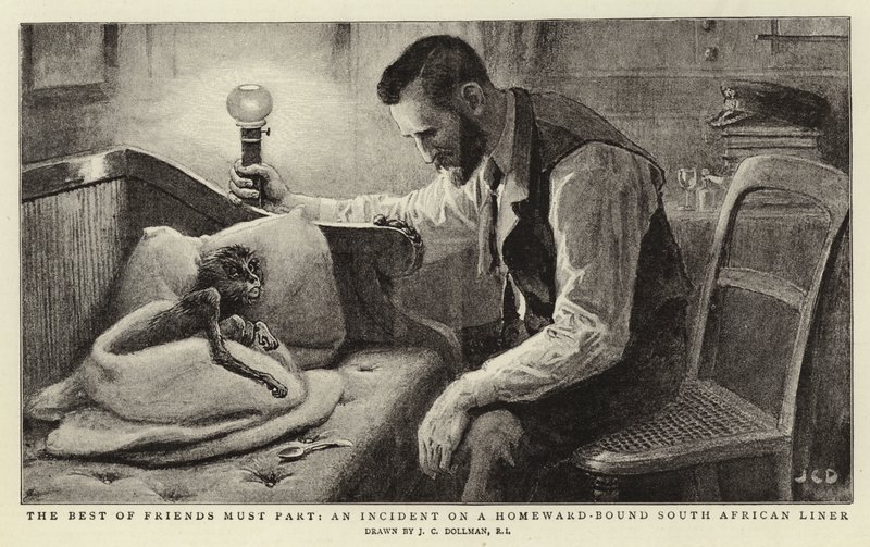 Anche i migliori amici devono separarsi, un incidente su un piroscafo sudafricano di ritorno a casa da John Charles Dollman