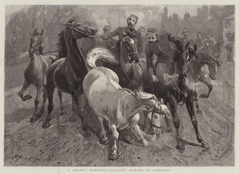 Una mattina gelida, cavalli di cavalleria in esercizio da John Charlton