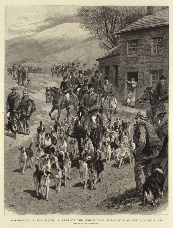 Caccia alla volpe nel nord, un incontro dei North Tyne Foxhounds sulle colline di confine da John Charlton