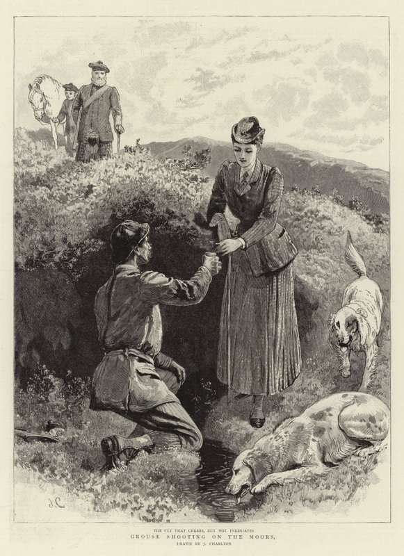 Caccia alla pernice nelle brughiere da John Charlton