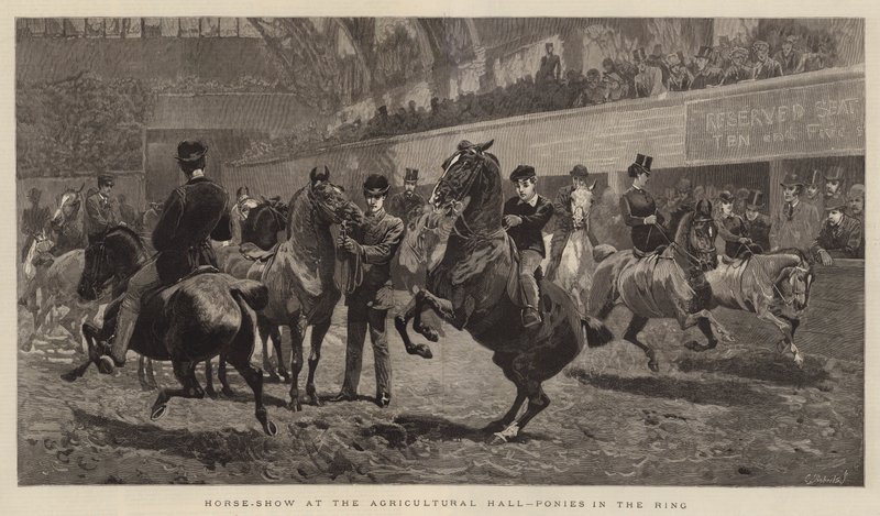 Mostra di cavalli alla Agricultural Hall, pony nel ring da John Charlton