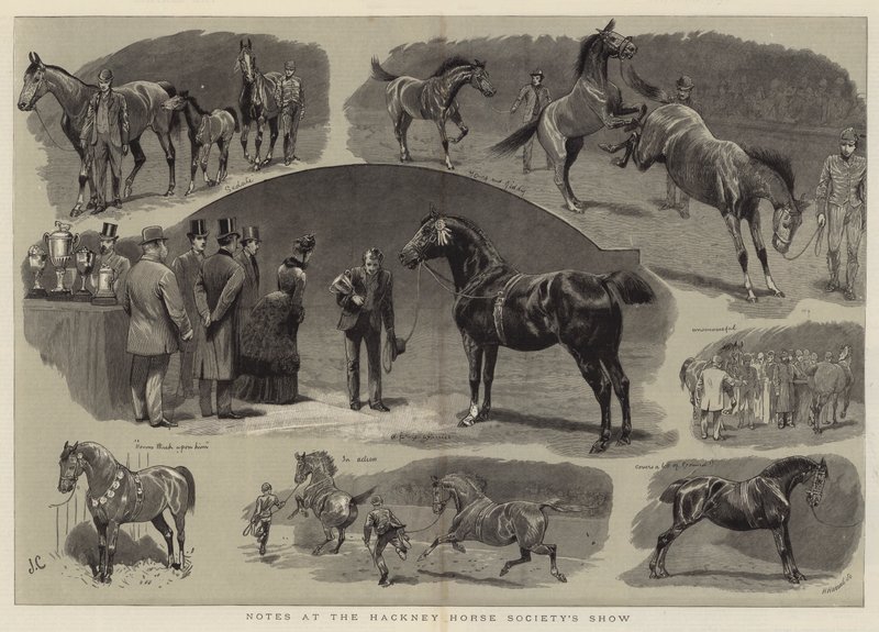 Note allo spettacolo della Hackney Horse Society da John Charlton