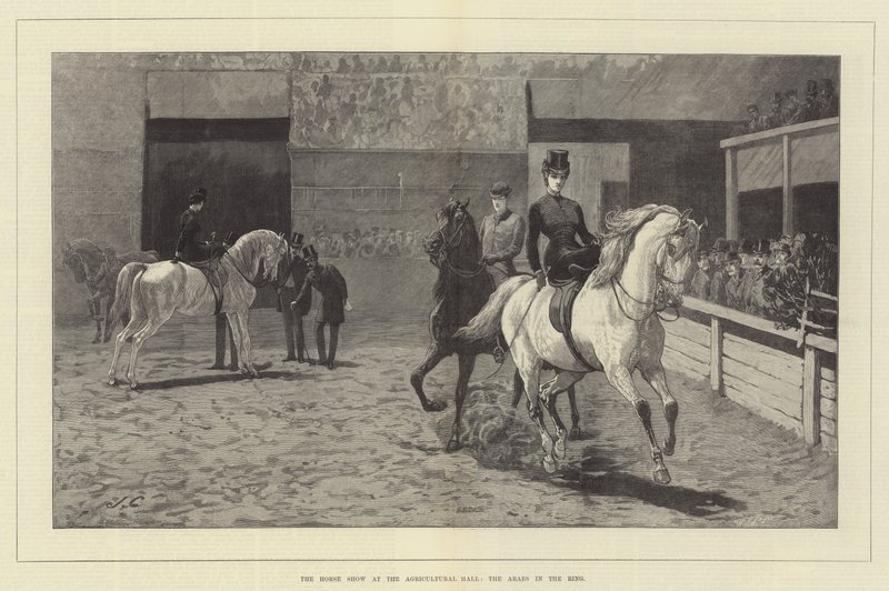 La mostra dei cavalli all