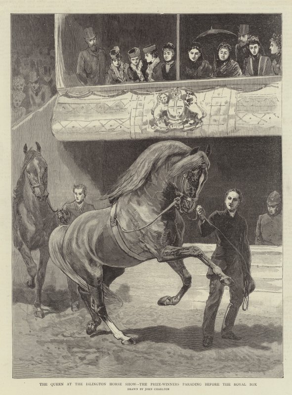 La Regina alla Mostra del Cavallo di Islington, i vincitori dei premi sfilano davanti alla tribuna reale da John Charlton