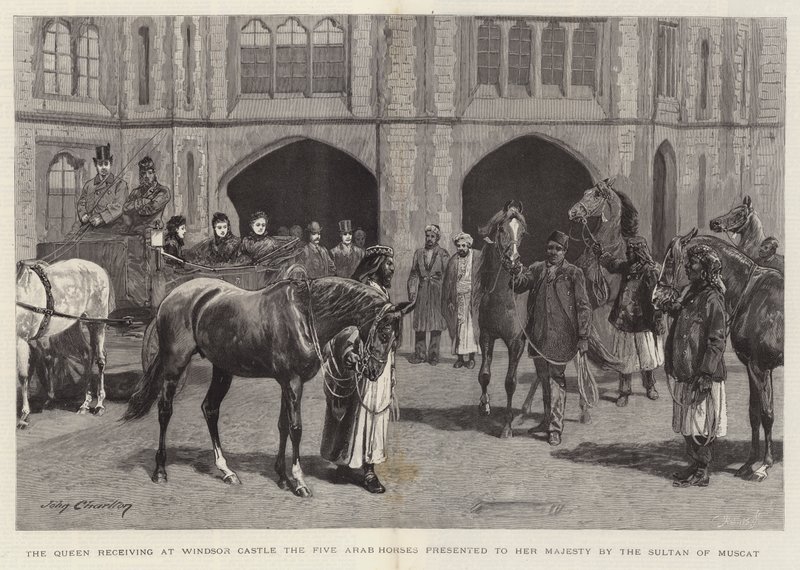 La Regina riceve al Castello di Windsor i cinque cavalli arabi donati a Sua Maestà dal Sultano di Mascate da John Charlton