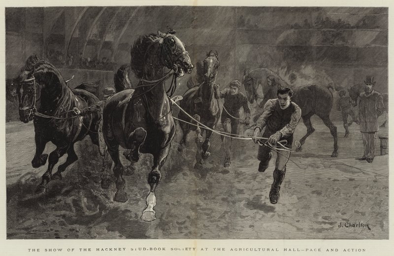 La Mostra della Hackney Stud-Book Society all