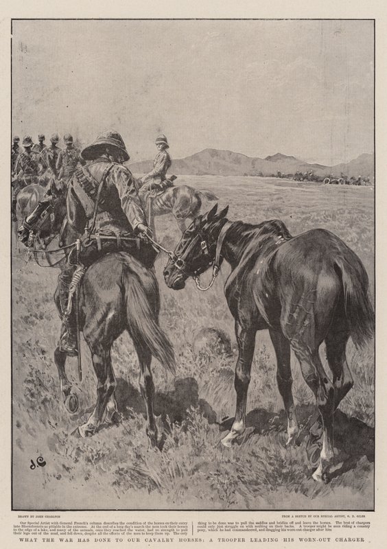 Cosa ha fatto la guerra ai nostri cavalli di cavalleria, un soldato che guida il suo cavallo esausto da John Charlton