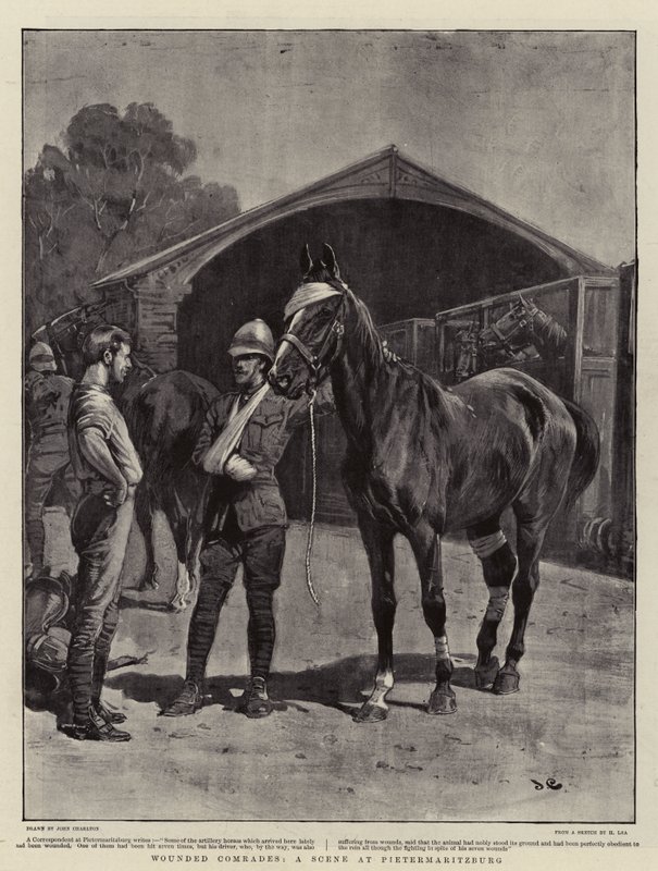 Compagni feriti, Una scena a Pietermaritzburg da John Charlton