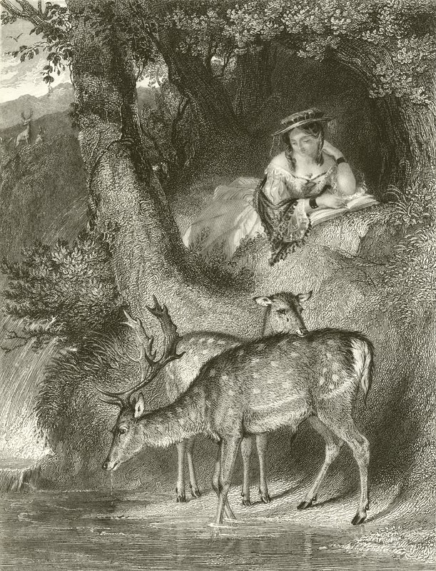 Solitudine montana da John Corbould