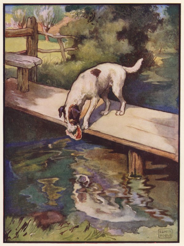 Il cane e l
