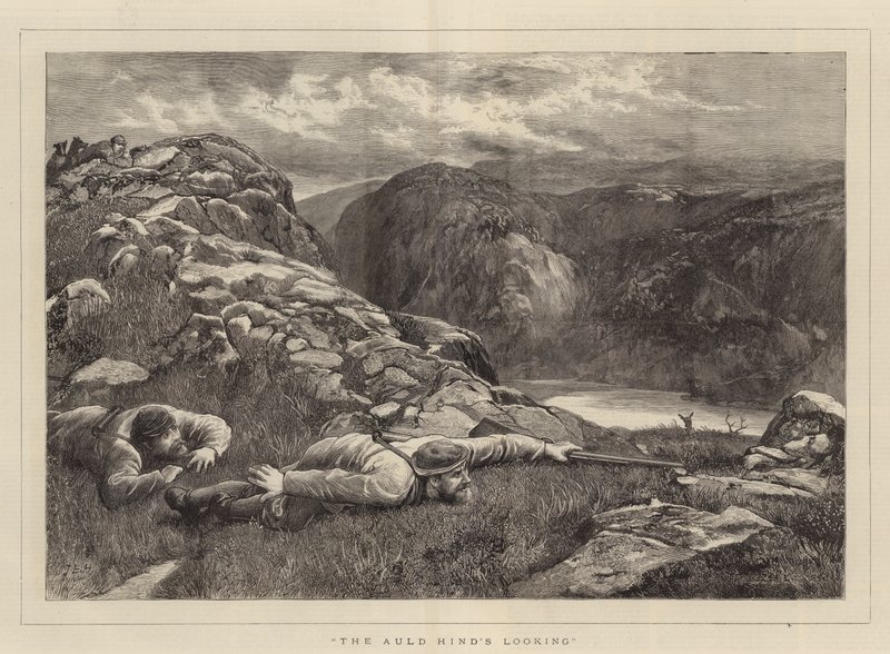 Lo sguardo del vecchio cervo da John Evan Hodgson